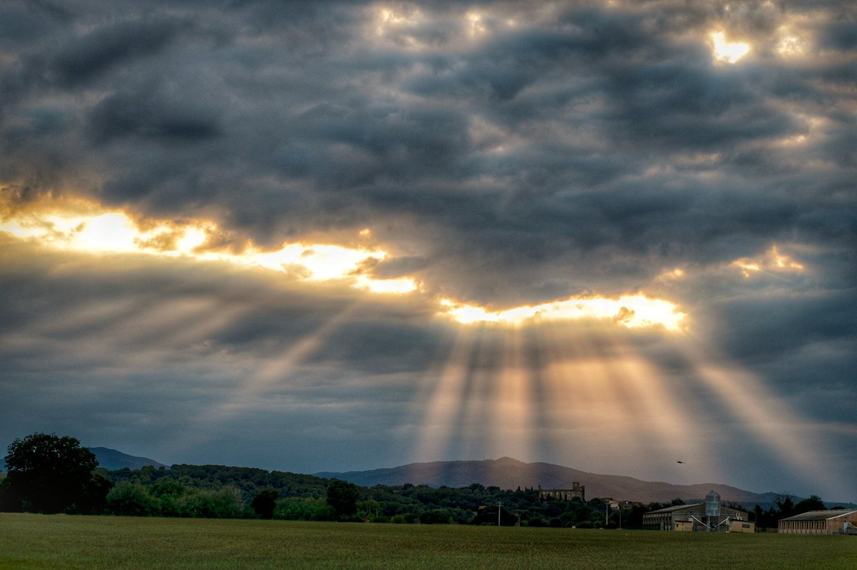 Regal de l'últim diumenge d'Agost.