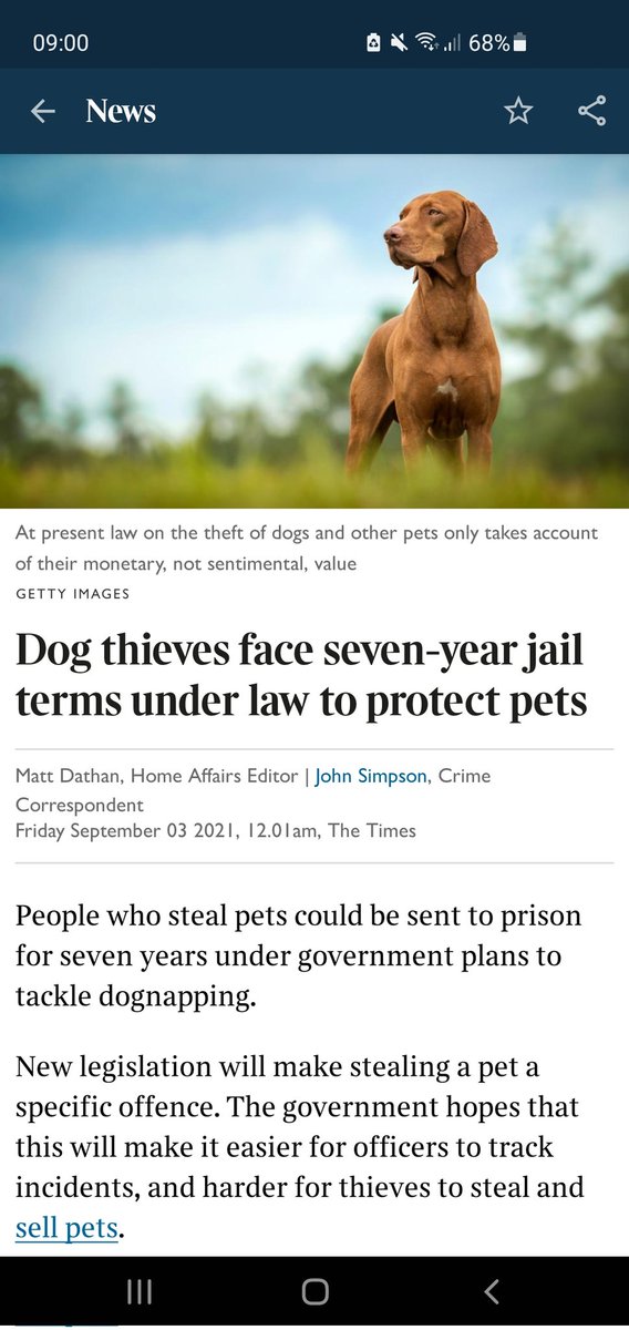 Surrey Dog News (@dogssurrey) on Twitter photo Amazing news! Thanks to everyone who fought so hard for this - and congratulations!! 🥳🐶
<a href="/SAMPAuk_/">Stolen&Missing Pets</a> <a href="/Dr_Dan_1/">Dr Daniel Allen</a> <a href="/marcthevet/">Marc Abraham OBE</a> <a href="/APDAWG1/">APDAWG</a> @John_Cooper_QC <a href="/beverleycuddy/">Beverley Cuddy</a> <a href="/DogLostUK/">DogLost</a> <a href="/VetsGetScanning/">MakeChipsCount to Reunite Pets</a> <a href="/pettheftaware/">Pet Theft Awareness</a> Amazing news! Thanks to everyone who fought so hard for this - and congratulations!! 🥳🐶
<a href="/SAMPAuk_/">Stolen&Missing Pets</a> <a href="/Dr_Dan_1/">Dr Daniel Allen</a> <a href="/marcthevet/">Marc Abraham OBE</a> <a href="/APDAWG1/">APDAWG</a> @John_Cooper_QC <a href="/beverleycuddy/">Beverley Cuddy</a> <a href="/DogLostUK/">DogLost</a> <a href="/VetsGetScanning/">MakeChipsCount to Reunite Pets</a> <a href="/pettheftaware/">Pet Theft Awareness</a>