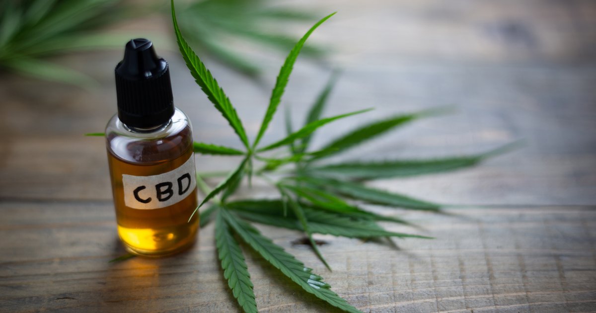 CannabisHnews's tweet photo. There are currently 145,000 people living with Parkinson Disease in the UK. 

Two new studies on Parkinson's Disease and CBD reveal potentially positive effects which may help with symptoms.

Read more: https://t.co/Ufkn3k9pmI https://t.co/t0EuKrMuAz