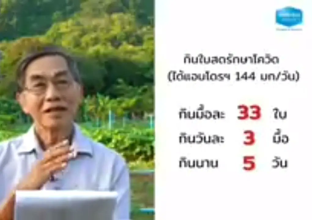 การใช้ #ฟ้าทลายโจร รักษา #โควิด19 จากงานวิจัยแบบจริงจัง
ทำตามแบบนี้จะได้ปลอดภัย 👍
+กินสด
+กินแบบเป็นน้ำชา
+กินแบบยาหม้อ
+กินเป็นยาลูกกลอน
youtu.be/qj8QBZKzoOQ