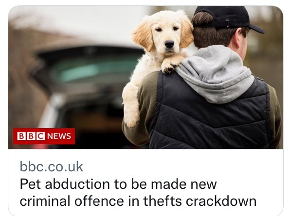 Really proud of the #PetTheftReform team & grateful for ongoing public, celebrity, media, charity, political & policing support. Thank you. 4 years of positive evidence-based campaigning (8 years for @SAMPAuk_). So many stolen pets remain missing - please keep sharing! 🐾 RT