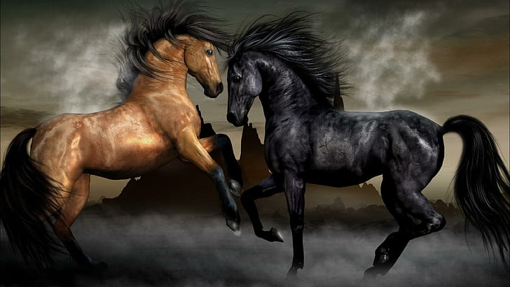 Two horses: brown and black !
#photos #photography #animals #horses