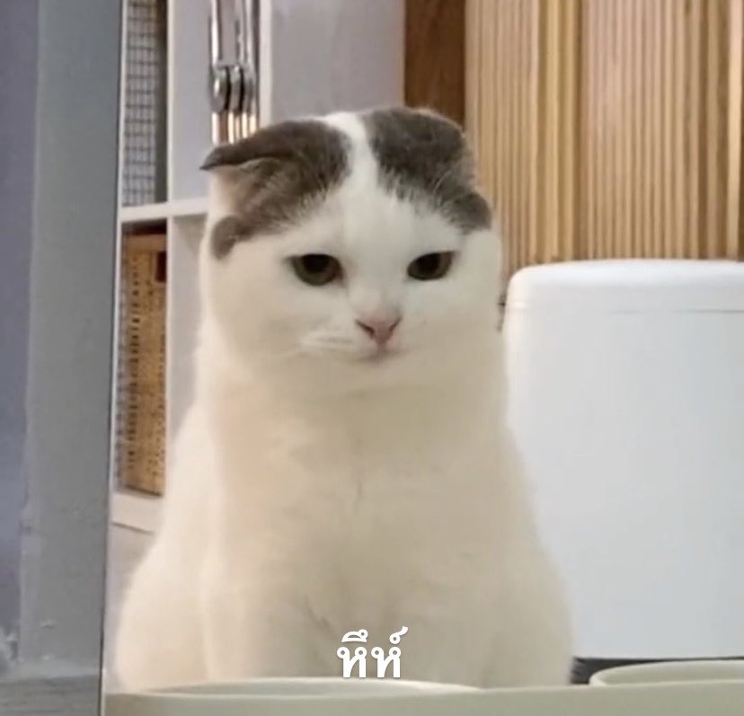 megumie! tweet media