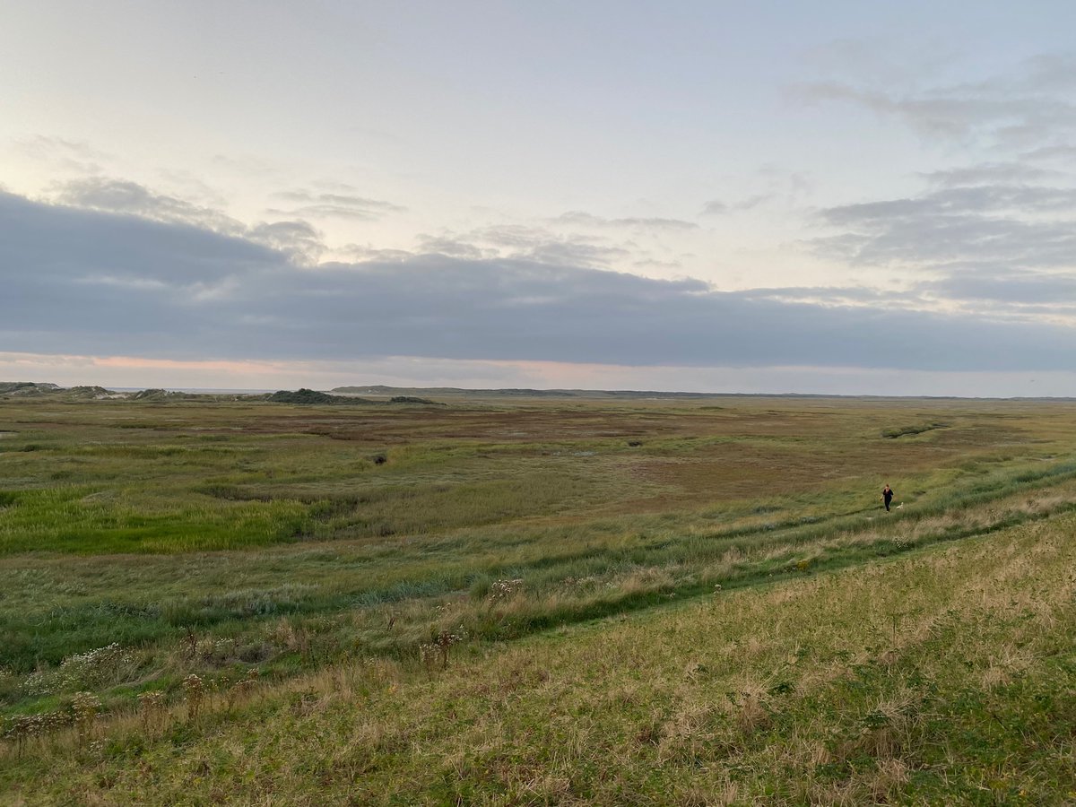 JeroenvanHattum (@jeroenvanhattum) on Twitter photo 