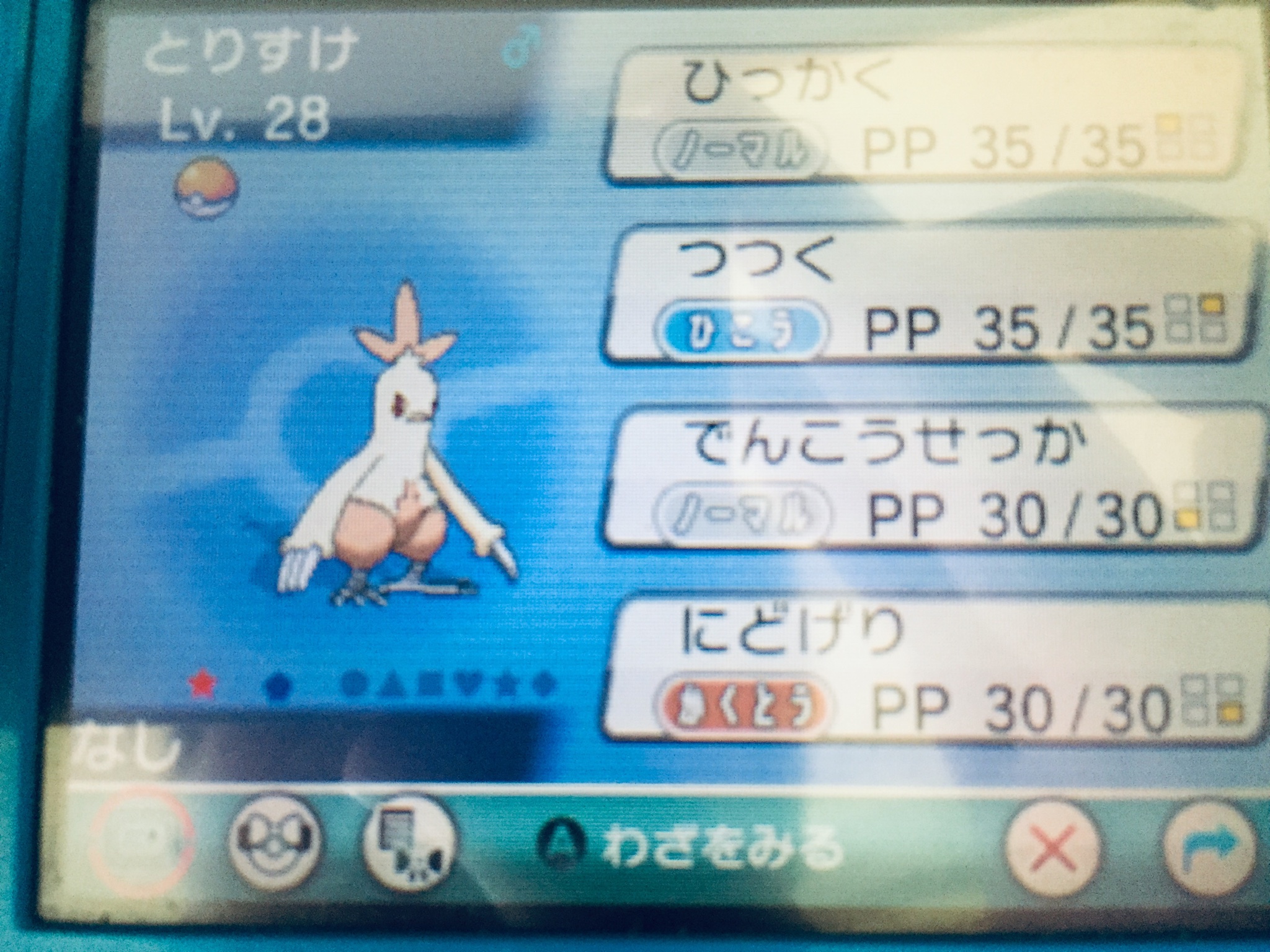 さくにーとポケモン過去作色違い集めの旅 Ypfk4h7uz9dyudy Twitter