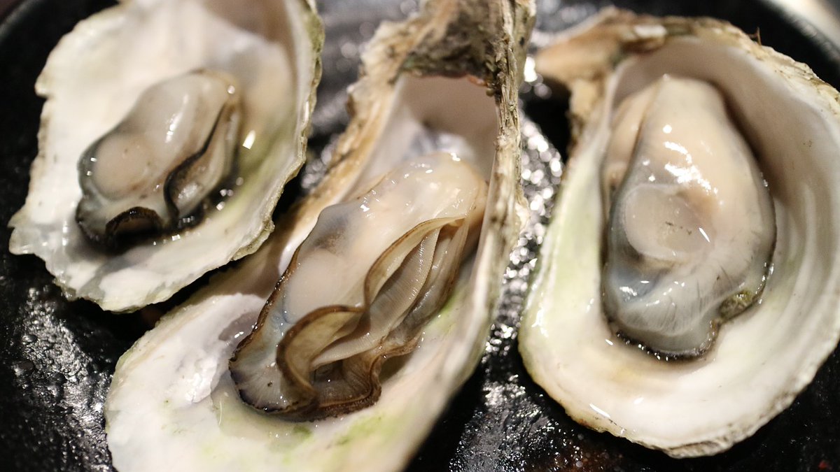 cliff_koh's tweet photo. 𝘖𝘺𝘴𝘵𝘦𝘳 𝘍𝘳𝘪𝘥𝘢𝘺 🦪
Friday chill. What better way to do that with some fresh oysters imported from France? 
𝘛𝘩𝘦 "𝘊𝘭𝘪𝘧𝘧 𝘉𝘢𝘳 &amp; 𝘎𝘳𝘪𝘭𝘭 𝘒𝘰𝘩 𝘚𝘢𝘮𝘶𝘪 "
For Restaurant reservations 
Please call +66 77 448508
https://t.co/UYKZXCxuaM
#seafood  #visitsamui https://t.co/zyq7oUKx1b