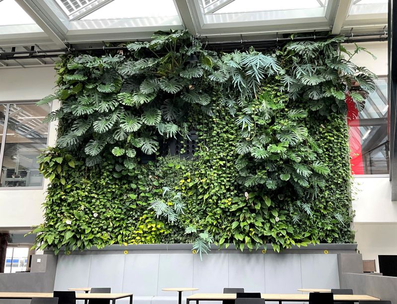 When you're walking around the Dutch Mercedes-Benz headquarters, you could be running into not 1, not 2, but a whopping 8 different SemperGreenwalls! Read more about the project here: fal.cn/3hVvi #officedesign #livingwall #interior #greenarchitecture @mercedesbenz_nl