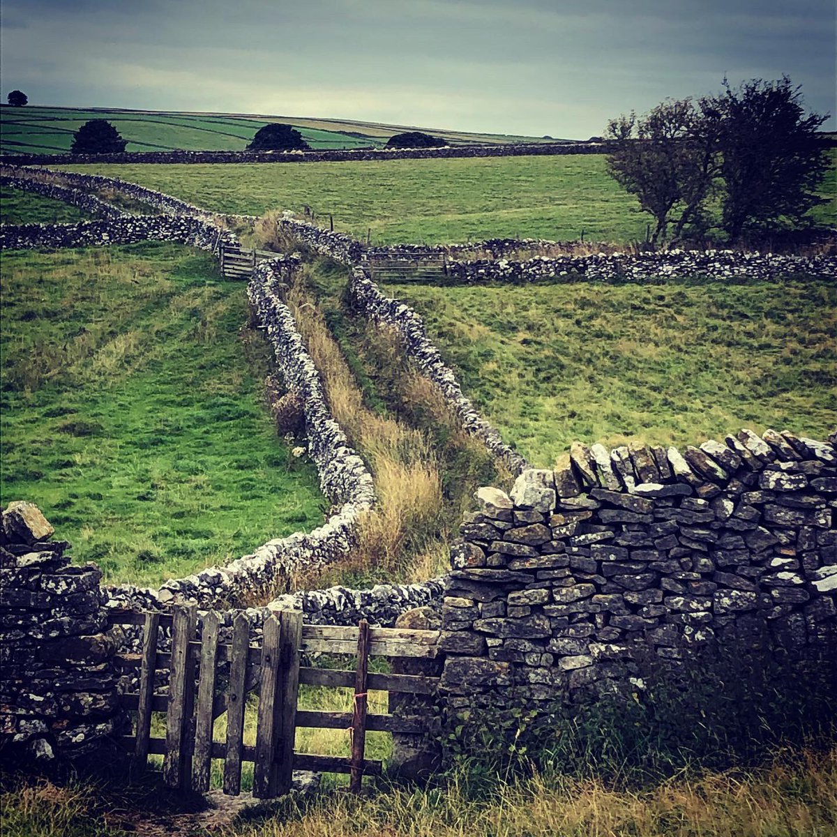 Deborah Burrows tweet media