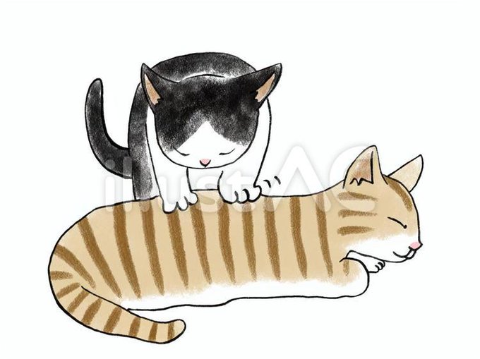 猫の絵のtwitterイラスト検索結果 古い順