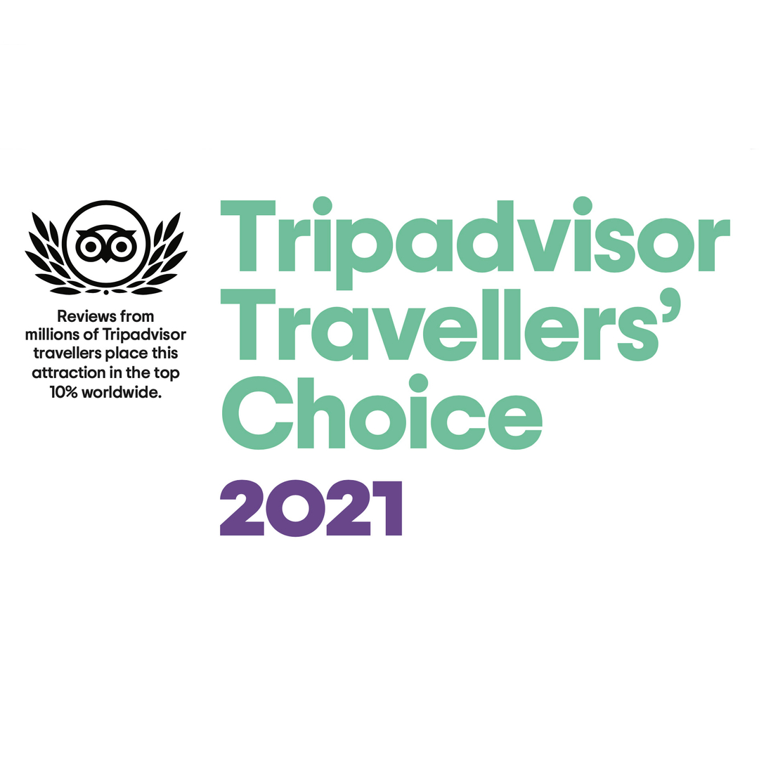 We are delighted to have received a Tripadvisor 2021 Travellers Choice award! Thank you to our loyal customers for their positive reviews and continuing to shop with us 🙏🏼
🥬🍔🍖🧀🐟
- 
#trurofarmersmarket #loveTFM #marketday #farmersmarket #buylocal #supportlocal