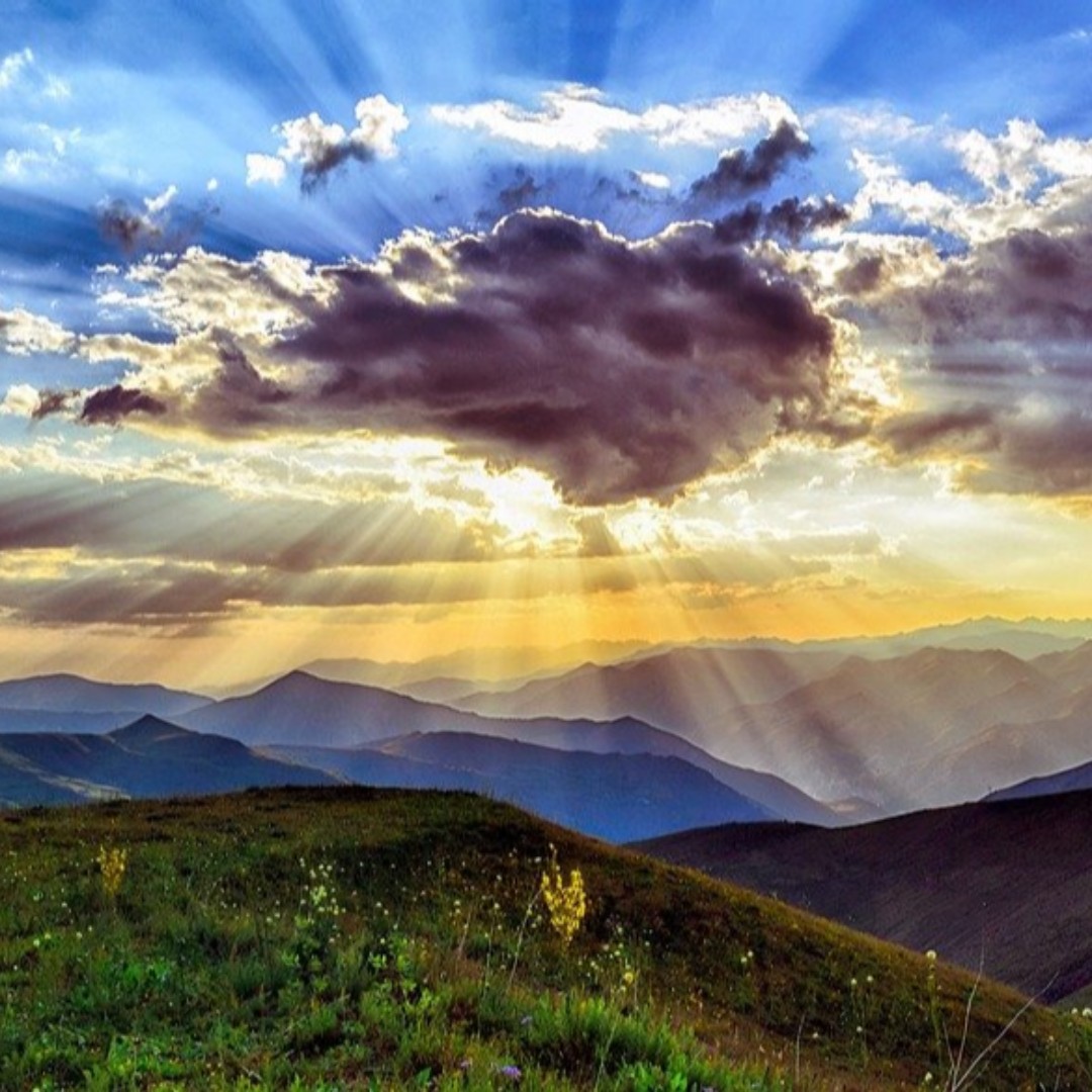 SystemPAK tweet media