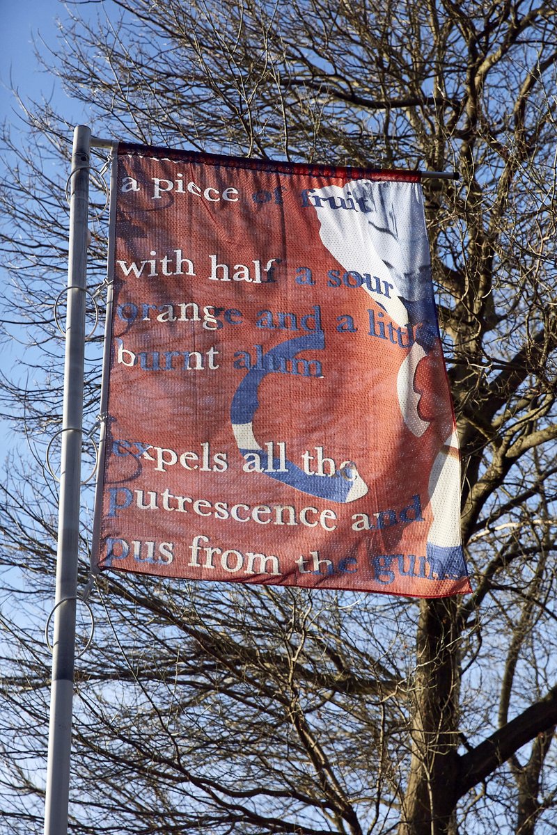 Spotlight on Holly Graham, a studio holder with us, whose flags are flying just outside Southwark Park Galleries. The works explore the history of lemons and emerged out of research on the colonial histories of sugar. Learn more about Holly's practice: hollygraham.co.uk