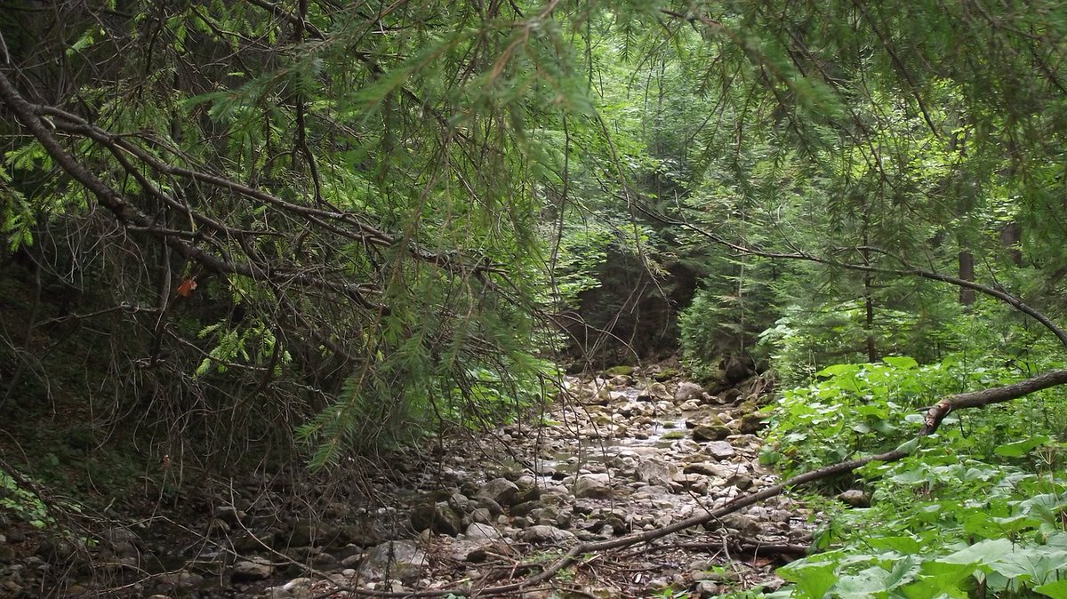 Nowhere: open.spotify.com/track/6A6nUzNo…