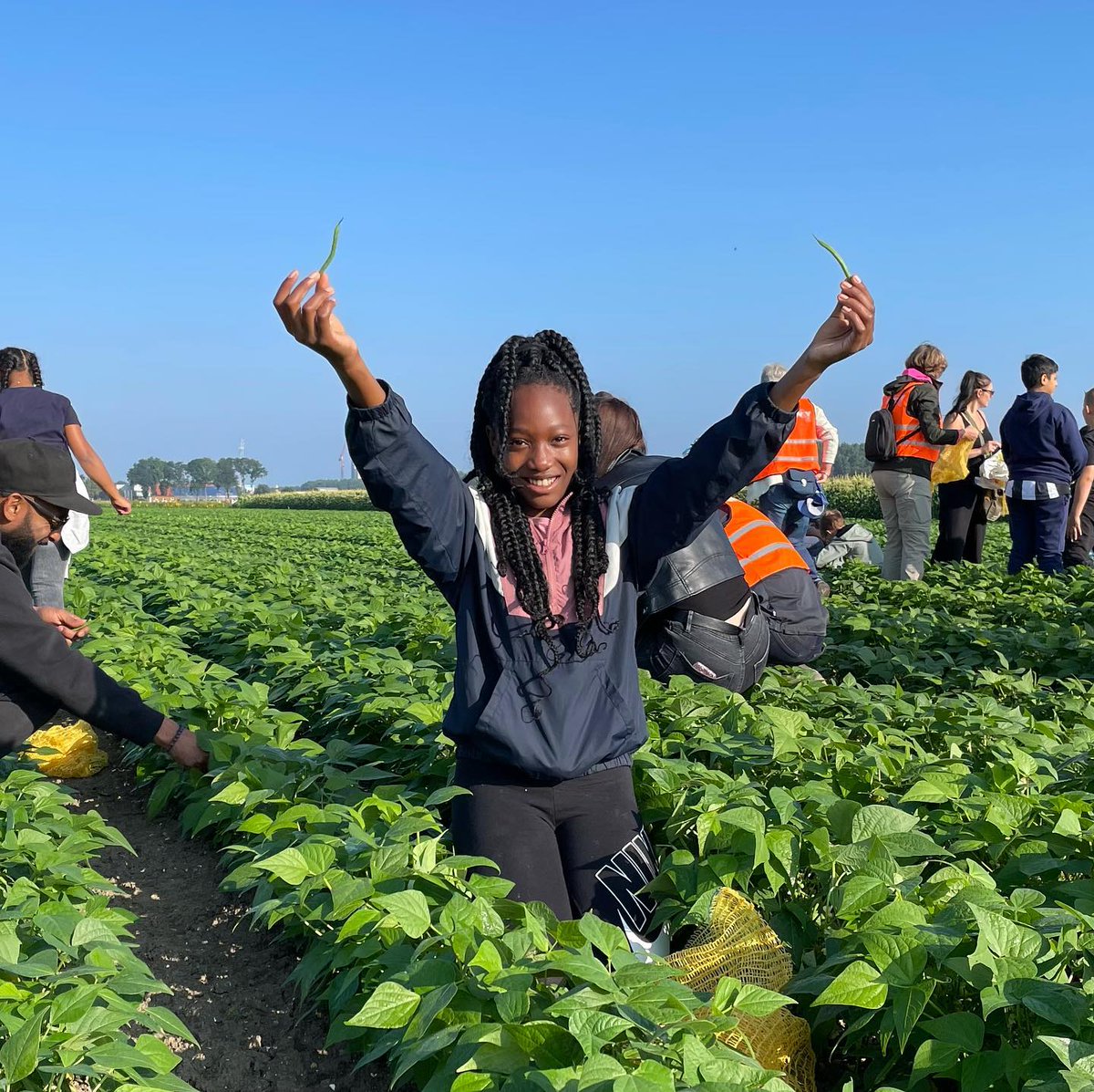 Weten waar je eten vandaag komt! Dat leren leerlingen van Lelystadse basisscholen vandaag op ons oogstterrein. Een feest!