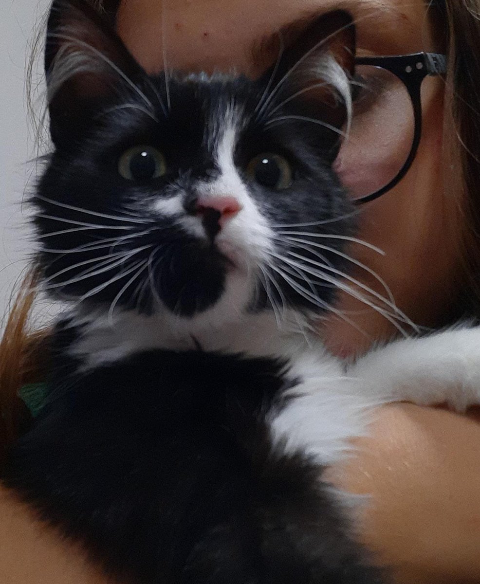 Birisi bize mi seslendi :) #evcilhayvanchallenge