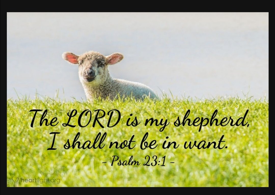 kudzai_kuemuko's tweet photo. #principleEdition #JesusEdition #steadythoughts https://t.co/ZlzRlRRX1C