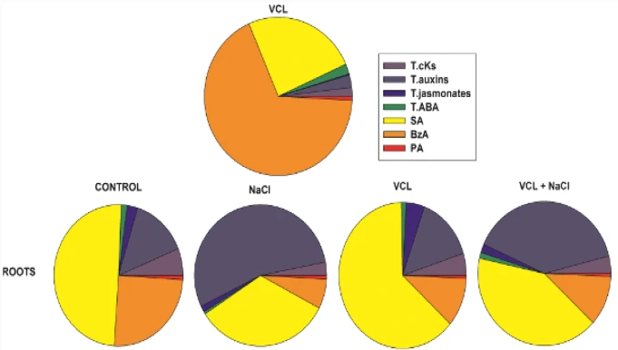 plantandsoil's tweet photo. Read this interesting article: "Positive impact of vermicompost leachate on salt stress resistance in tomato (Solanum lycopersicum L.) at the seedling stage: a phytohormonal approach" https://t.co/arXjrwWQoj
#PLSO #biostimulants #salinity #senescence #phytohormones https://t.co/ido1cZ9dZ9