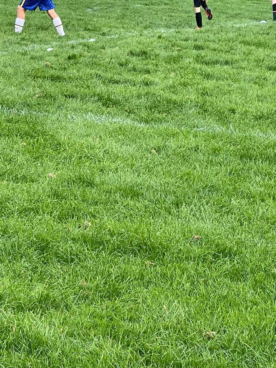 Hi ⁦<a href="/BridgendCBC/">Bridgend CB Council</a>⁩ any chance of cut. ⁦<a href="/SouthWalesFA/">South Wales FA</a>⁩ ⁦<a href="/BPTFL19/">Bridgend Port Talbot Junior Football League</a>⁩ ⁦@FAWTrust⁩ ⁦<a href="/FAWales/">FA WALES</a>⁩ ⁦<a href="/FAWCoachEd/">⚽️ FAW Coaching</a>⁩ ⁦<a href="/huw4ogmore/">Huw Irranca-Davies</a>⁩ ⁦<a href="/CPJElmore/">Chris Elmore MP</a>⁩ We need your support Sport in the Bridgend area is a joke. BCBC just not interested. #shameful