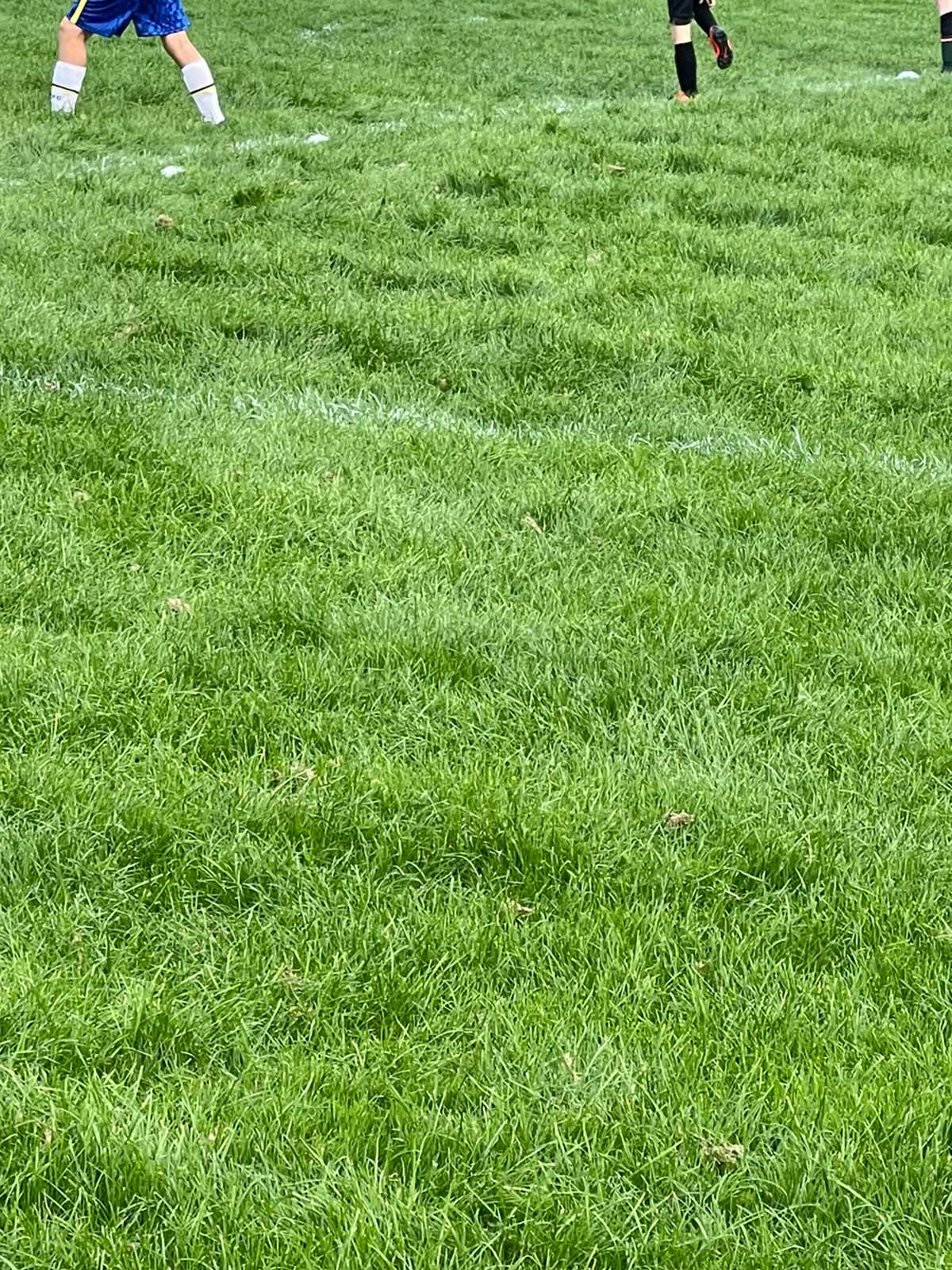 Llan Rangers BGCW on Twitter: 