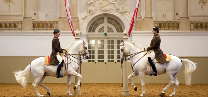 スペイン宮廷馬術学校の優雅さは異常。 