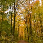 Mar Pages (@marpagestwl) on Twitter photo Hiking Etiquette – Guide To The Trails trbr.io/ObC68Rw via <a href="/kathrynanywhere/">KathrynAnywhere ✈️ 🌏 Adventure Seeker</a> Hiking Etiquette – Guide To The Trails trbr.io/ObC68Rw via <a href="/kathrynanywhere/">KathrynAnywhere ✈️ 🌏 Adventure Seeker</a>