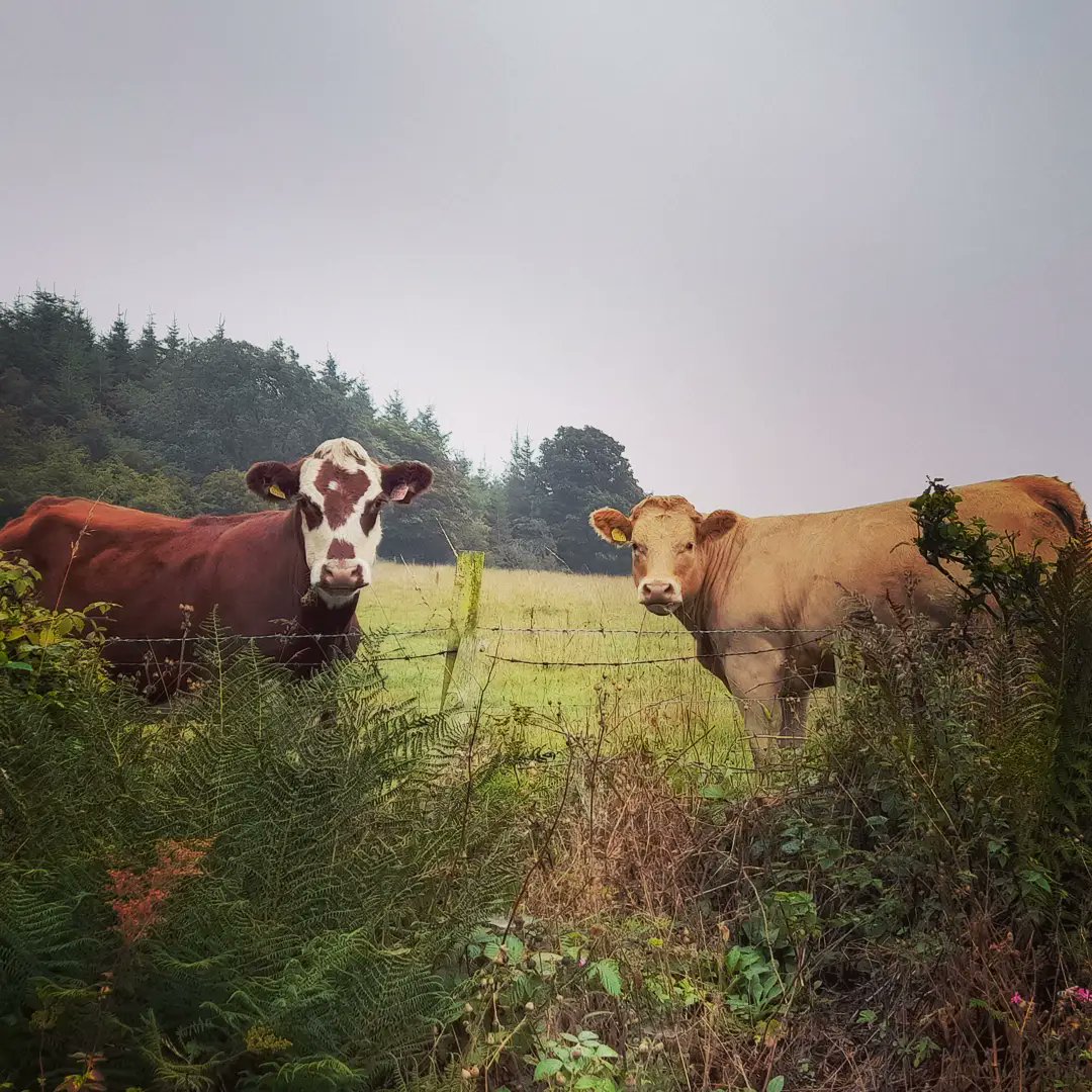 Maybole Community Fire Station tweet media