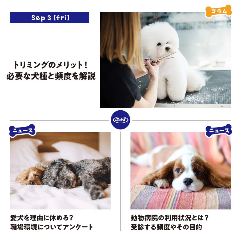 ブッチ ジャパン 無添加ペットフード Butch Japan Twitter