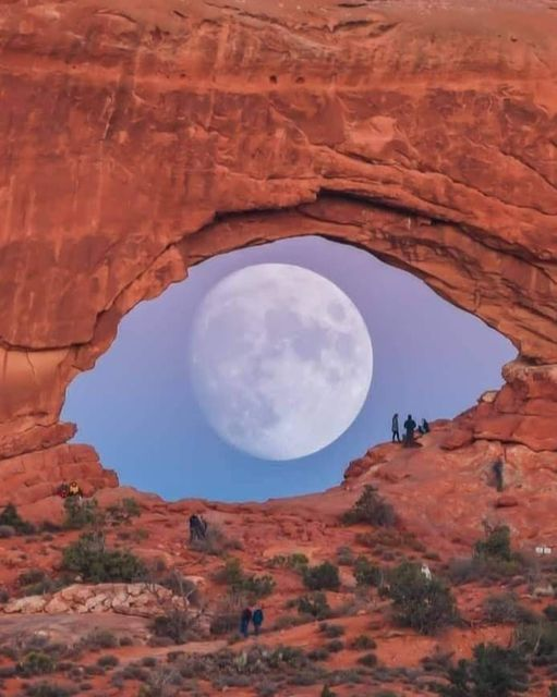 KfatimaJaved's tweet image. امریکہ کے صحرا یوٹاہ سے لی گئ ایک تصویر۔
This Eye on Utah 🌝
#Nature
#spacesciences