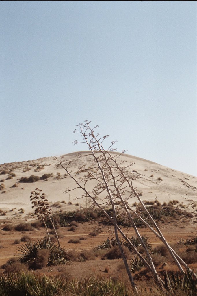 Danisanhe's tweet photo. No hay verano como en el sur, Almería. #35mm https://t.co/AfSYrC6l7F