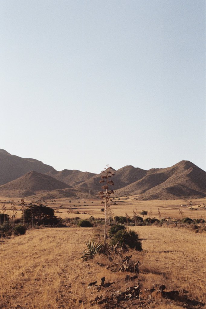 Danisanhe's tweet photo. No hay verano como en el sur, Almería. #35mm https://t.co/AfSYrC6l7F