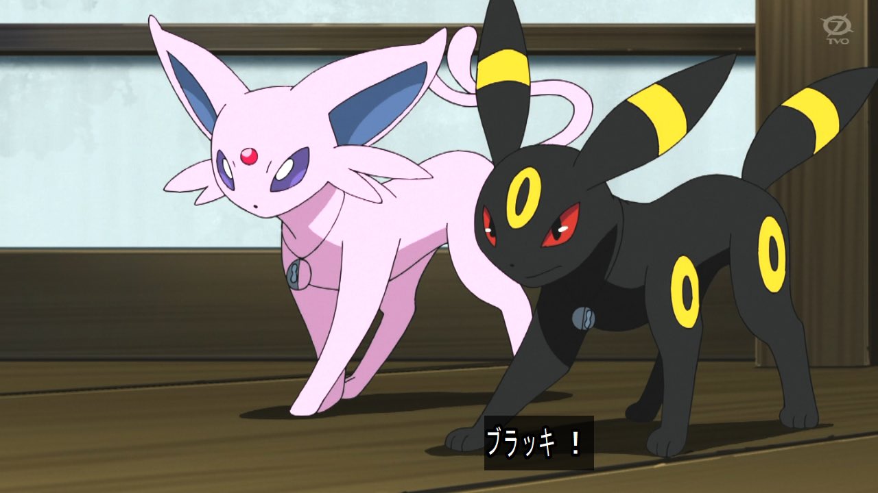 エーフィ、ブラッキー ポケモン - ポケットモンスター【ブラッキー＆エーフィ