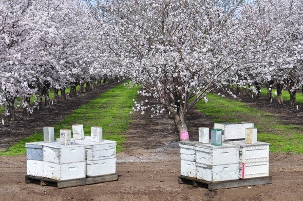 Ormskirk Beekeepers: In-Hive Sensors Could Help Ailing Bee Colonies dlvr.it/S6sZj8