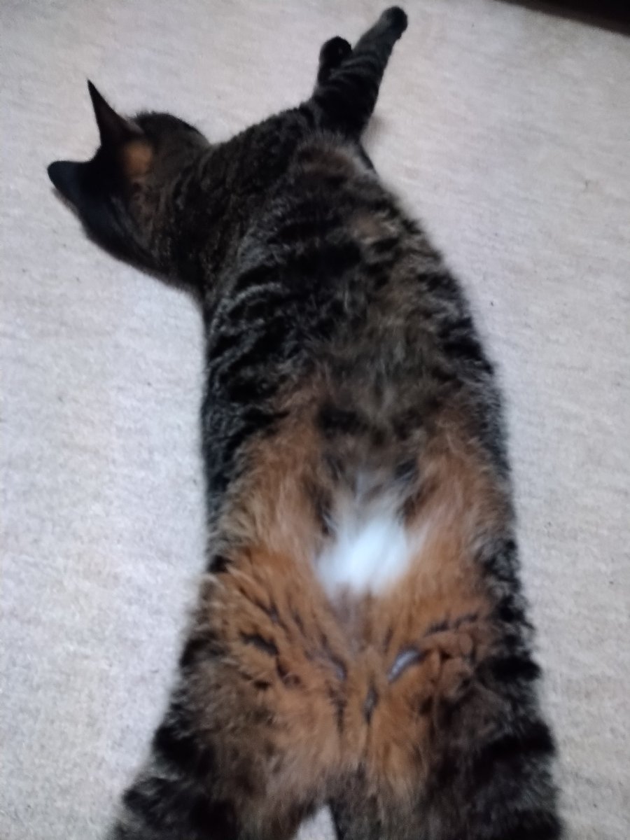 ここだけ白いまま 