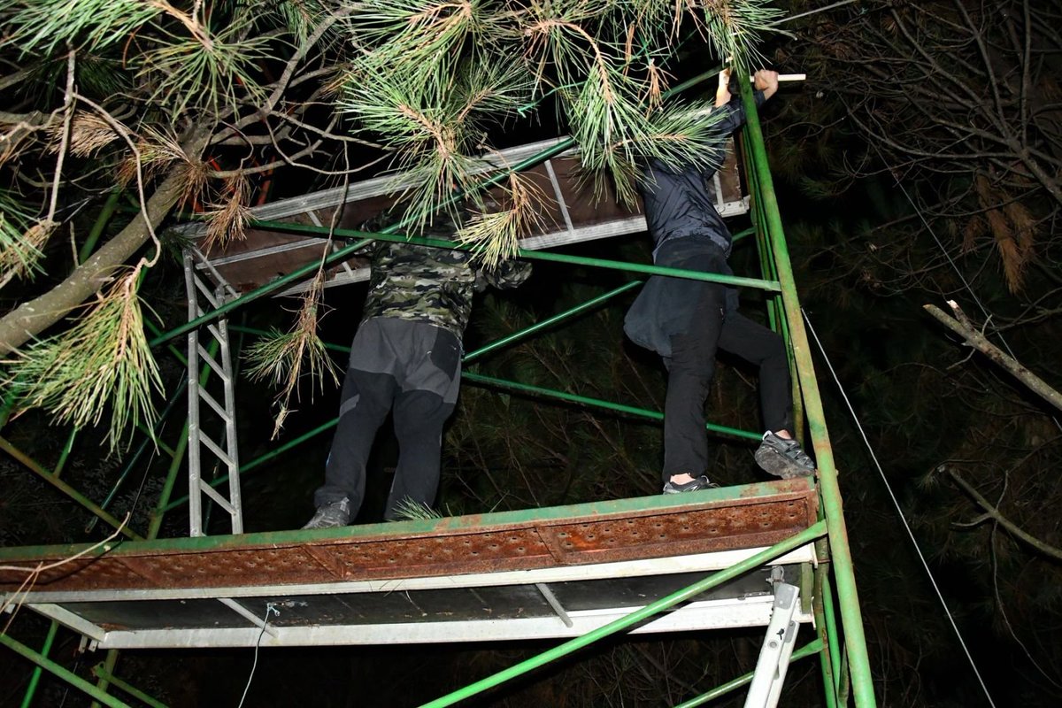 Antiespecismo 🇵🇸🇾🇪 tweet media