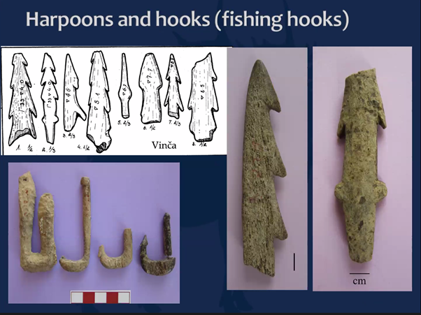Jennifer_R_Hull's tweet photo. ~1000 objects despite the collection bias of historic excavations - impressive, although imagine how impressive if it was a complete collection! Despite this, it is an amazingly diverse assemblage (and more very pretty fish hooks!!) #WBRG14 @UjPalaeo https://t.co/Xi8GHgTbWB