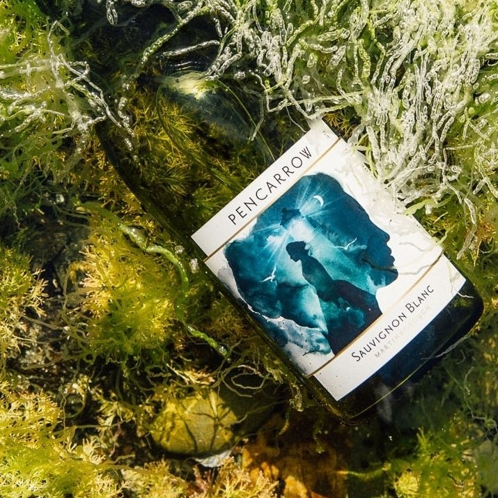 Pencarrow has gained recognition for making good, flavoursome, easy-drinking wines. The range was created by Palliser Estate with the aim of producing a consistently high quality selection of Martinborough wines at affordable prices

Shop now bit.ly/2VaZGFe

#NewZealand