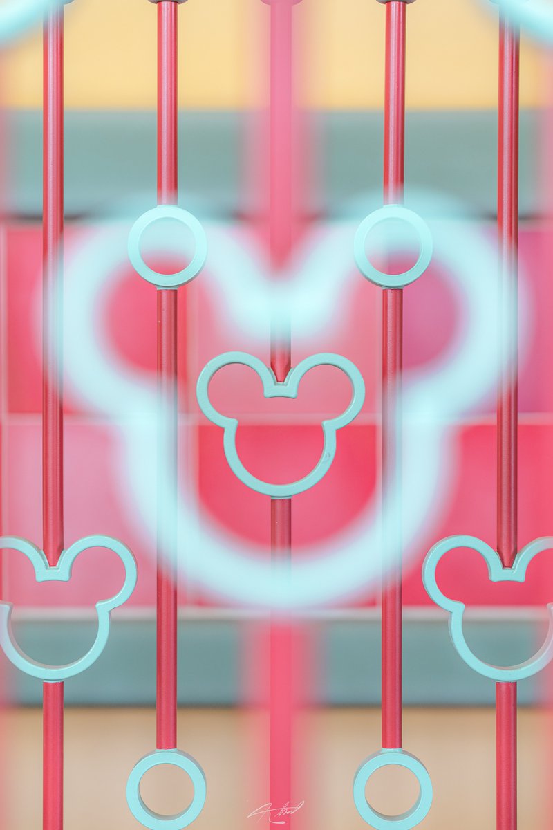 Aoi Disneycyom Twitter