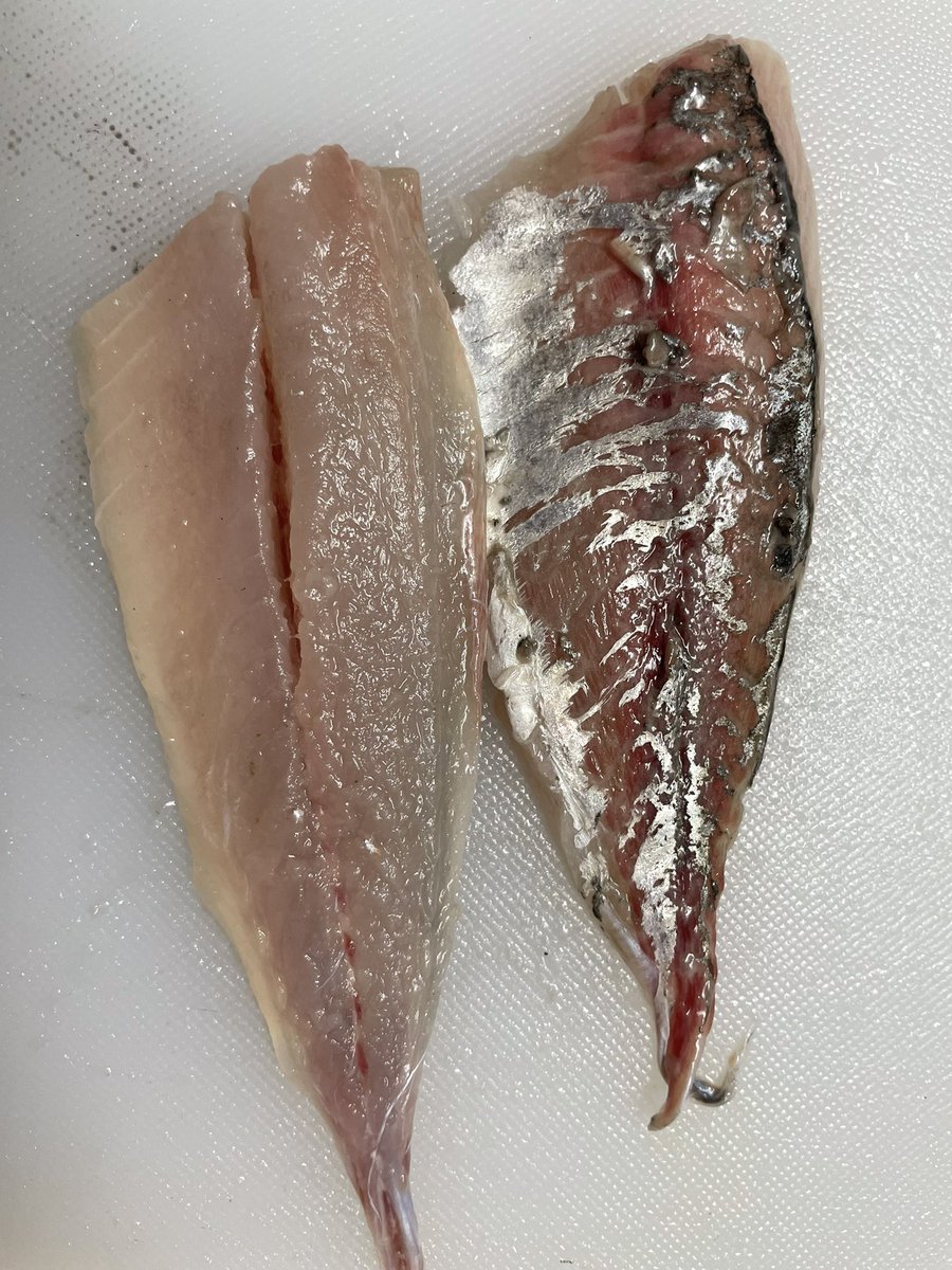 買ってきた魚にアニサキスが 見つけたらどうすれば良いか解説 わが子に教わる おやこ の関係