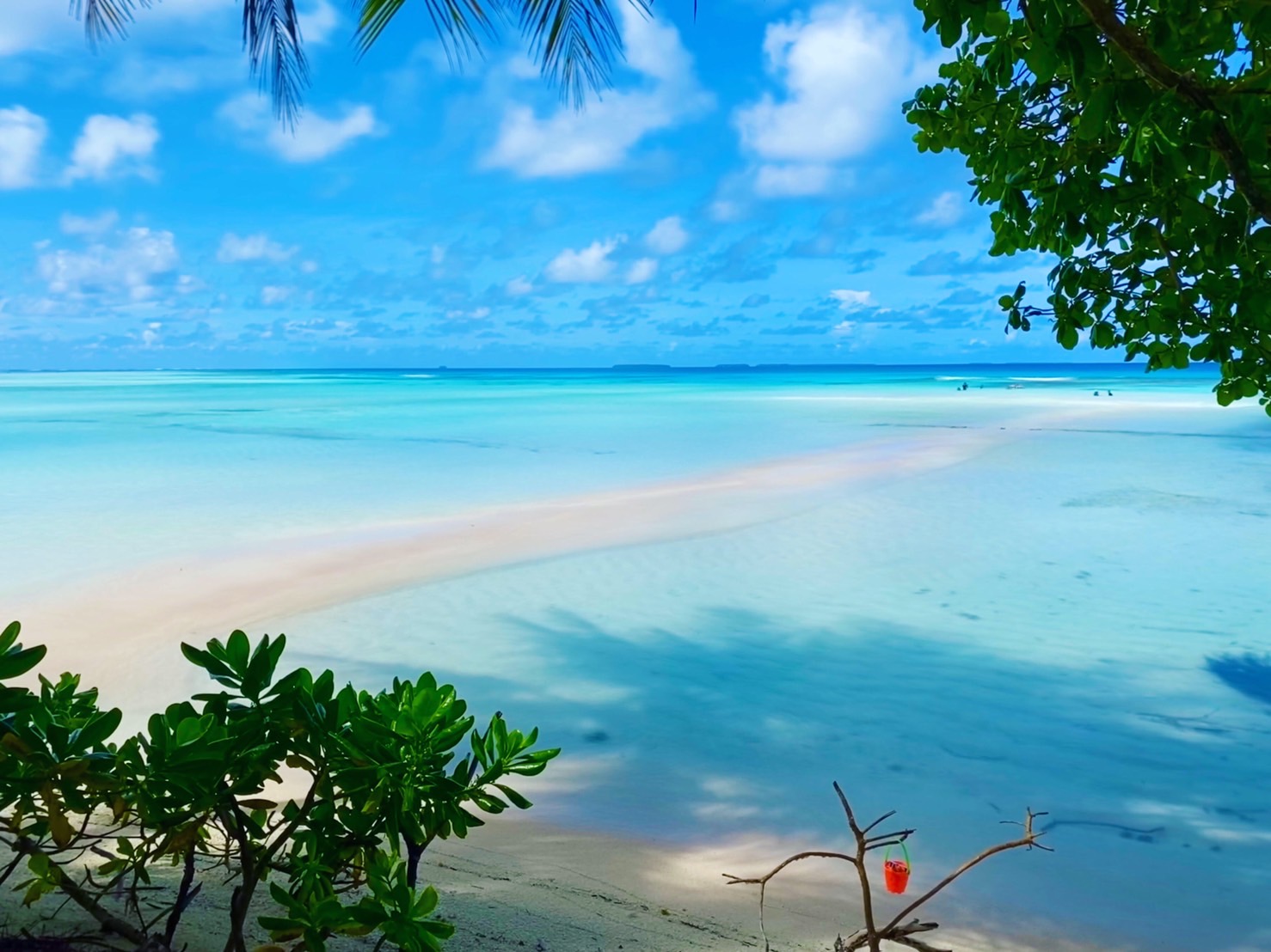 تويتر ミクロネシア連邦チューク州政府観光局日本事務所 على تويتر Happy Friday １週間 お疲れ様でした 今日は白い砂と青い海が美しいpisar島の写真をお届けします チューク語でpisarは 動く砂 という意味で ピクニックで人気な美しい島です 海の色に
