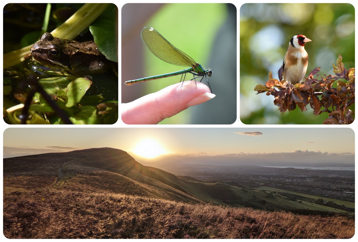 JBAConsulting's tweet photo. From wildlife walks, vegetable growing & litter busting, to bike rides, Yin Yoga & wild swimming. Throughout August JBA-ers have been reconnecting, spending time outdoors & sharing their stories as part of our #JustBeActive 2021. Check out the highlights:
https://t.co/1oYHtTS4jK https://t.co/QPKu4FRmZF
