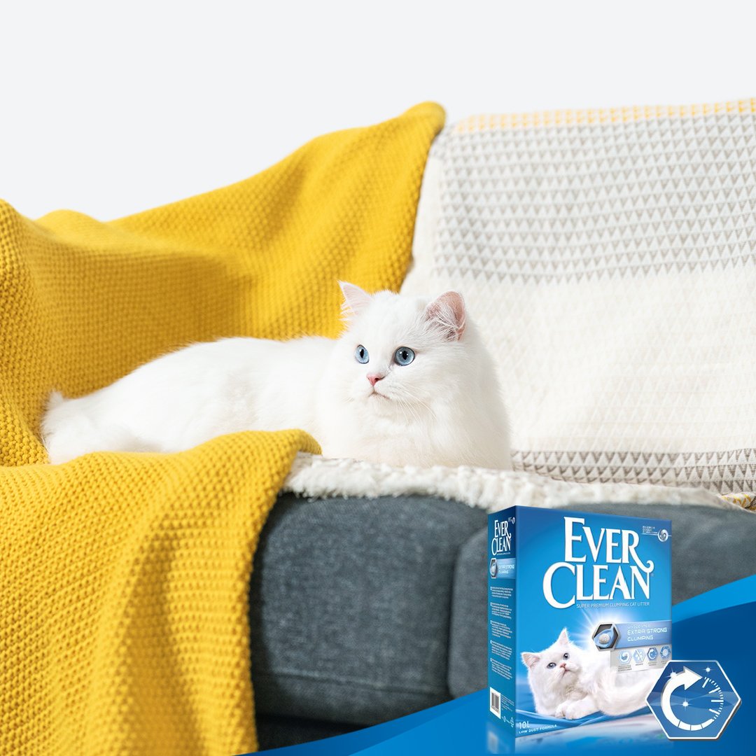 EverCleanTR's tweet image. Kediniz özellikle kokulara karşı hassassa, neden Ever Clean Extra Strong Clumping Unscented kumumuzu denemiyorsunuz? 

Ever Clean kedi kumları hakkında daha fazla bilgi almak için: everclean.com.tr/kumlarimiz

#EverCleanTR #kedikumu #kedibakımı #kediebeveyniolmak #ExtraStrongClumping