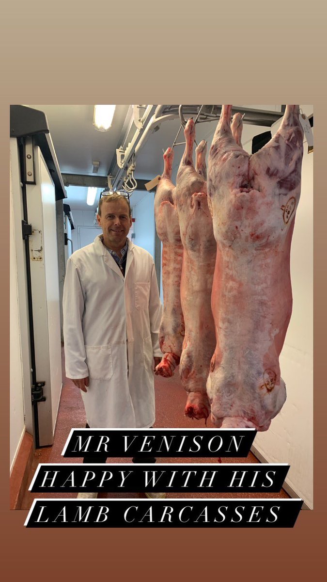 Welsh Venison Centre tweet media