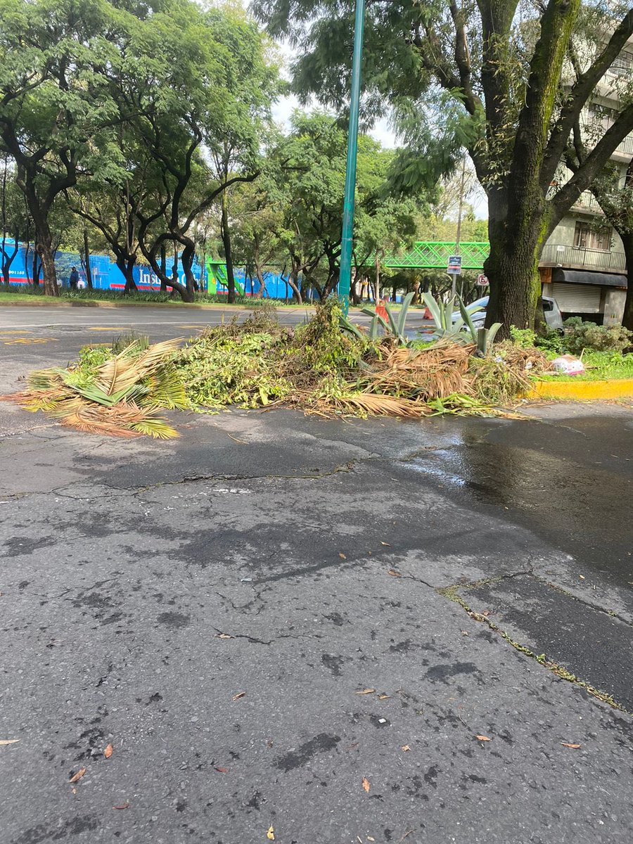 diego_trejo5's tweet photo. Cómo se puede reportar para que nos ayuden a recoger esta basura, esta tapando coladeras aledañas y ya hay estancamiento de agua. @AzcapotzalcoMx @AzcapotzalcoSoy @VecinosAzc @nuevasantamaria @Claudiashein https://t.co/shSfqhuThw