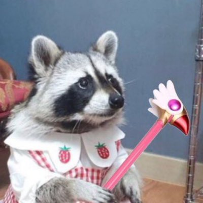 azjshs's tweet photo. #NewProfilePic https://t.co/LoF5cpaOQT
