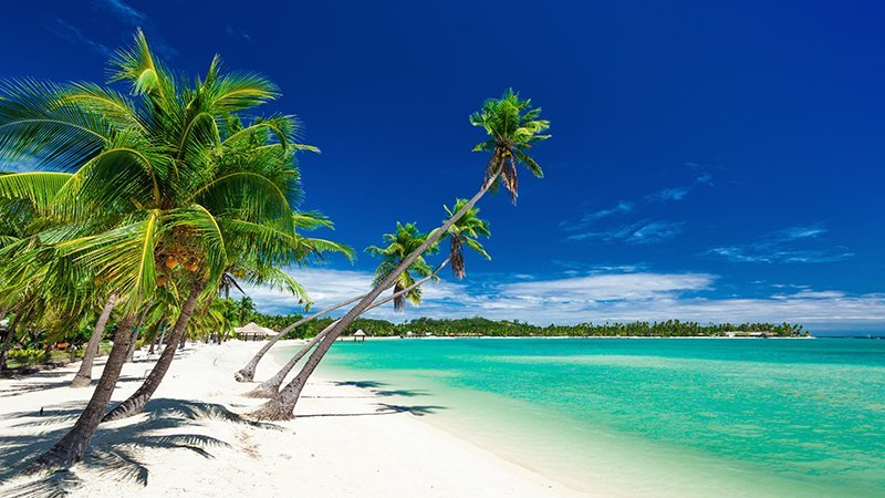 JamesChittyJr's tweet image. In another bright spot for the hope of the travel industry, it looks like Fiji will be open by December. Safe luxury travel is possible if we all work together. #Travel #LuxuryTravel
luxurytraveladvisor.com/south-pacific/…