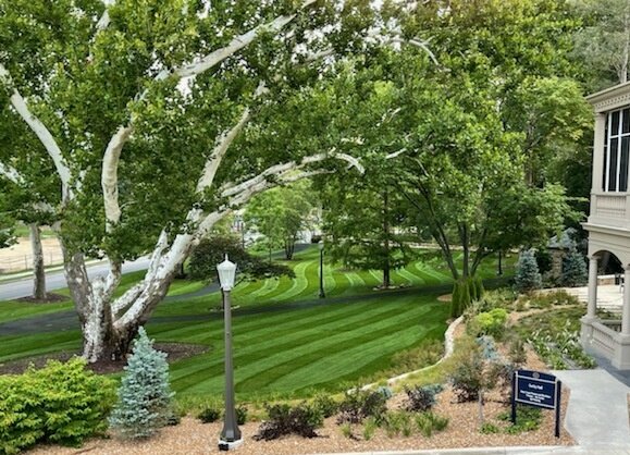 Notre Dame Landscape tweet media