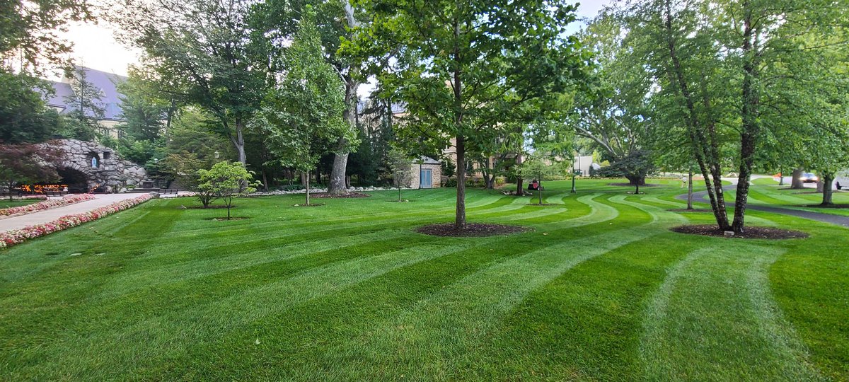 Notre Dame Landscape tweet media
