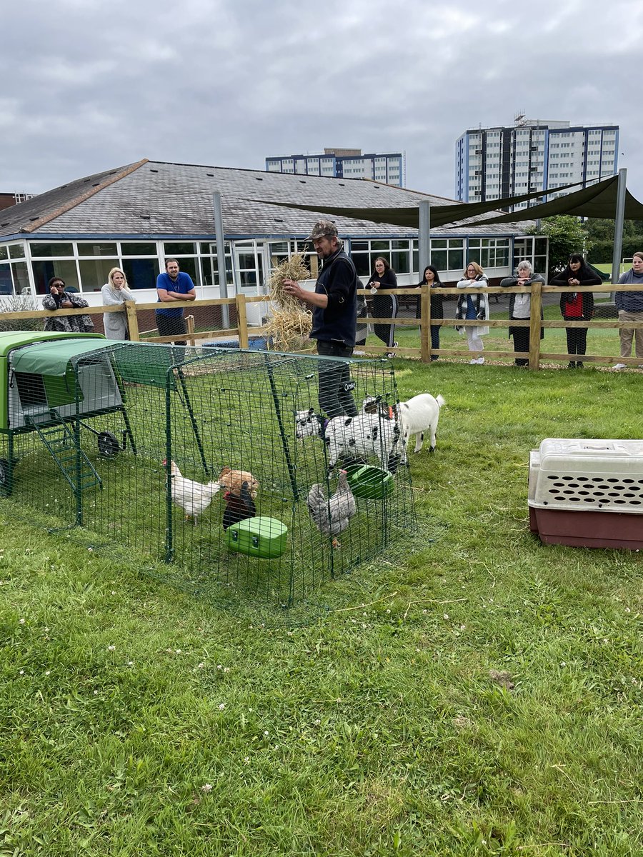 FoxboroughSch's tweet image. Also, chickens!! Our children are voting on their names next week. We can’t wait for our first eggs, eyfs will be collecting them daily as part of their whole school responsibilities #citizens #collabrativelearning #outdoorlearning #aweandwonder @BCA_Maidenhead