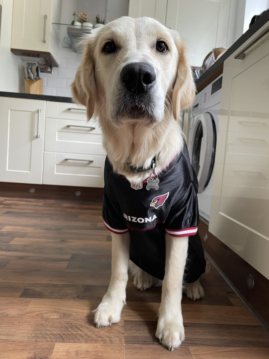 TommyFootball tweet media