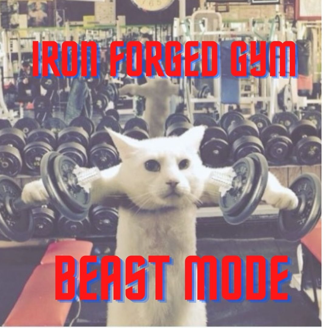 TGBsupplements's tweet image. 